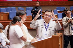 Aliling suspends housing amortization in ground zero