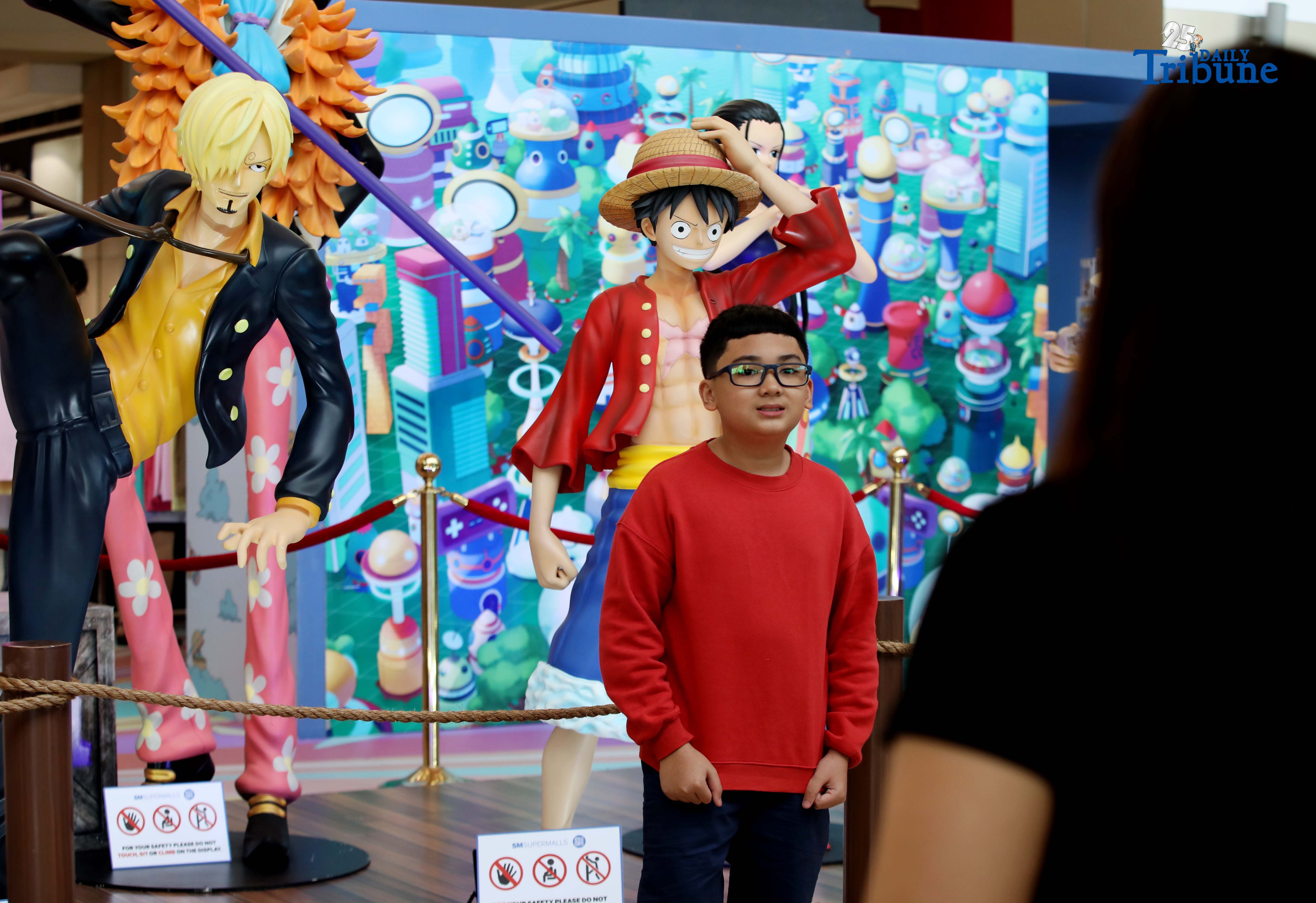 'One Piece' display