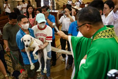 Blessing of the pets