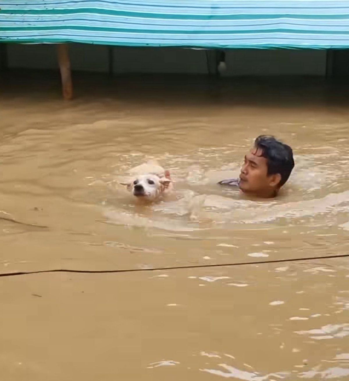 JAYSON Suco, senior Tzu Chi Youth Ormoc and former community head, camp leader and scholar of the international humanitarian organization, rescues a dog and other pets from flood that submerged the Tzu Chi Great Love Village in Barangay Liloan, Ormoc, Leyte at the height of ‘typhoon Opong’ on 25 September 2025.