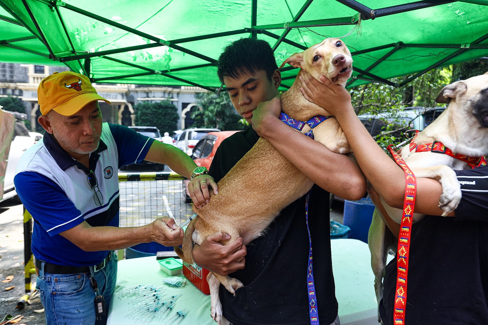 Fur parents bring their pets to the Malate Church in Manila on Sunday, 5 October 2025, for a blessing in celebration of the Feast of Saint Francis of Assisi, the patron saint of animals and the environment.

The celebration, which coincides with World Animal Day, is a Christian tradition where devotees bring their pets to church for a special blessing to promote their health and well-being and to honor their role in God’s creation.
