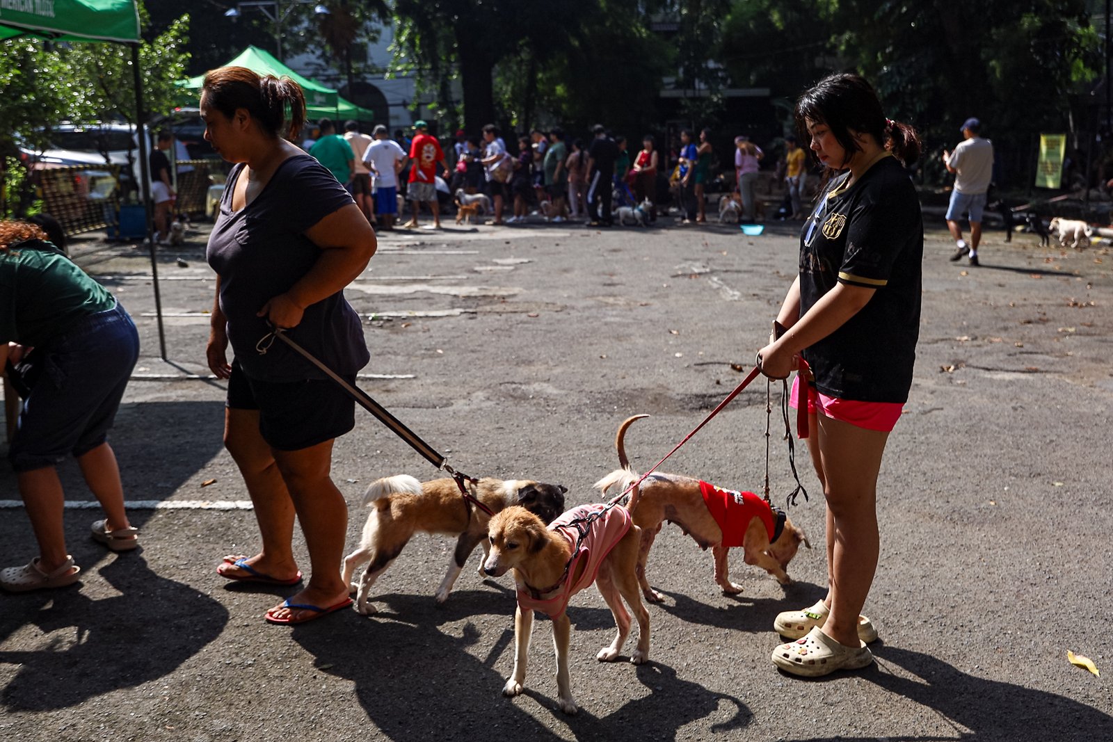 Fur parents bring their pets to the Malate Church in Manila on Sunday, 5 October 2025, for a blessing in celebration of the Feast of Saint Francis of Assisi, the patron saint of animals and the environment.

The celebration, which coincides with World Animal Day, is a Christian tradition where devotees bring their pets to church for a special blessing to promote their health and well-being and to honor their role in God’s creation.