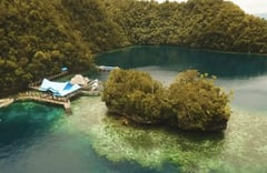 Samar Island eyes own region