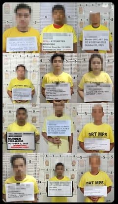 Central Luzon police arrest 174 wanted, seize over P4M in drugs