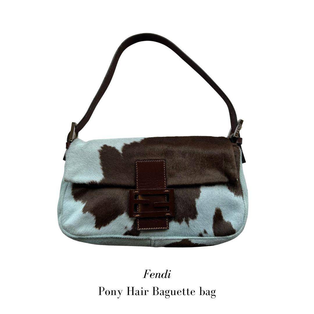 Pony Hair Baguette bag