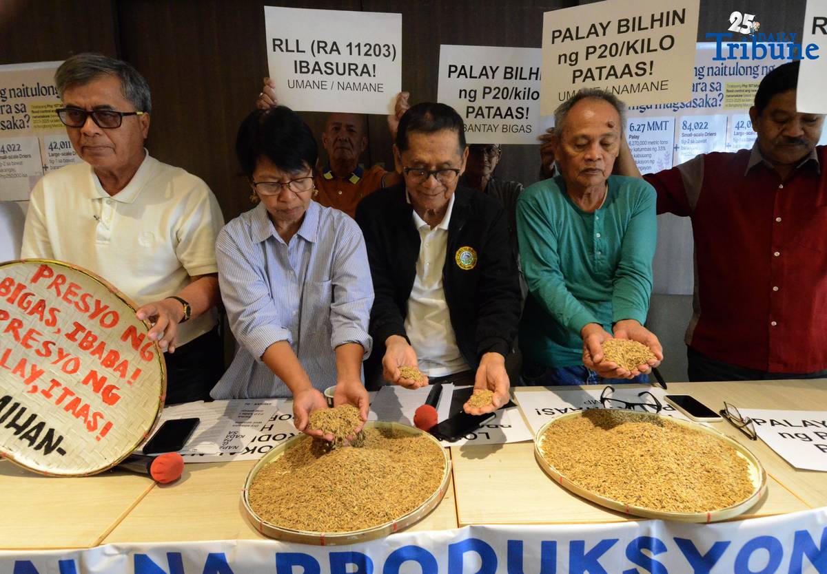 (October 07 2025) On Tuesday October 7 2025, Kilusang MagbubuKid ng Pilipinas KMU with farmers Nueva Ecija, Bulacan, and Laguna called a press-conference to push for P20 floor price on fresh unhusked rice or palay held in Quezon City. Photo/Analy Labor