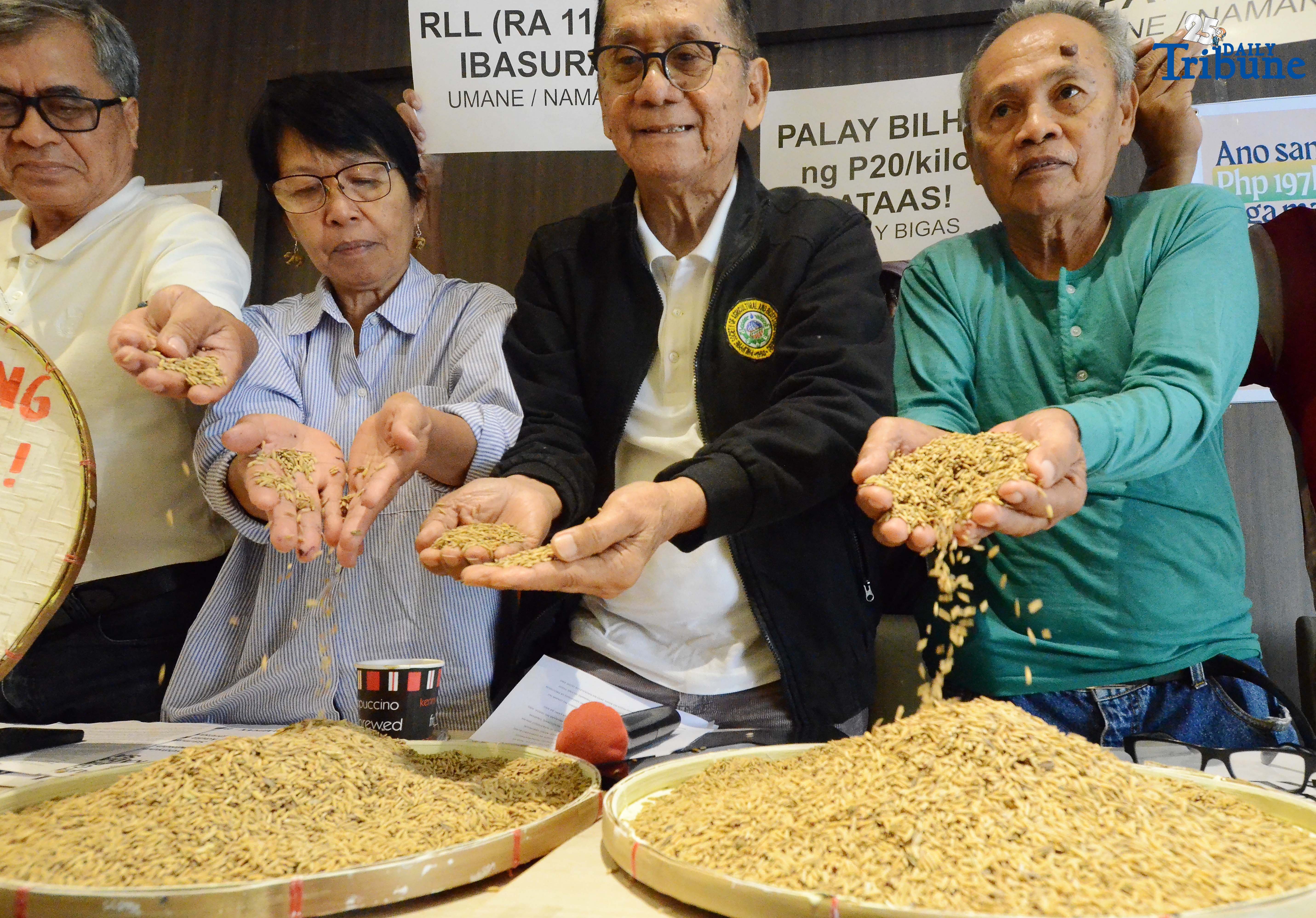 Rice farmers 