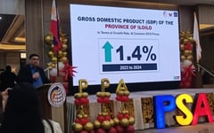 Iloilo growth cools to 1.4% as farms falter