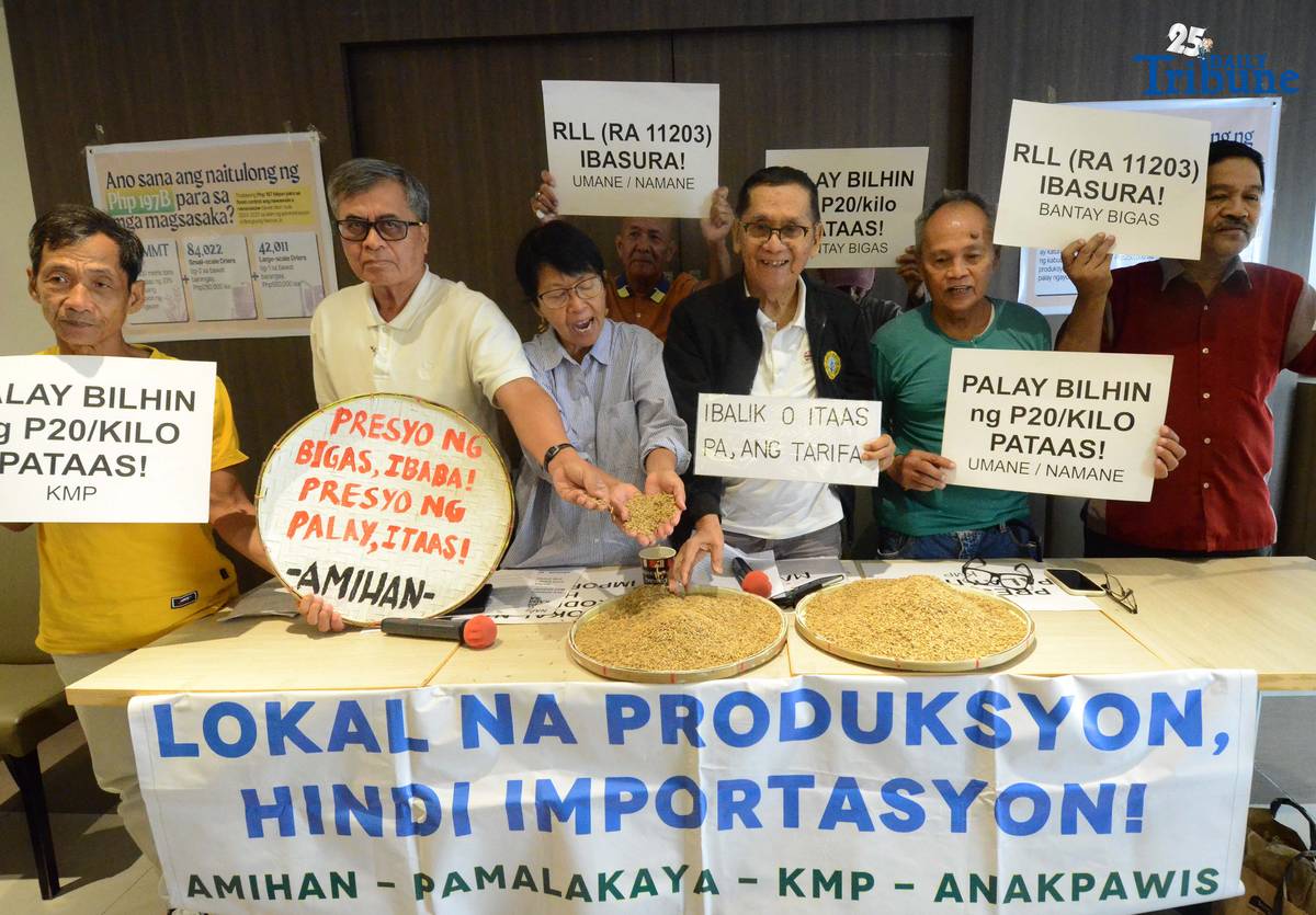 ANALY LABOR