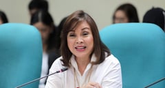 Legarda urges bigger spending for defense