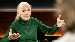 Jane Goodall’s last words