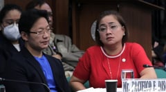 BIR slaps Discayas with tax evasion raps
