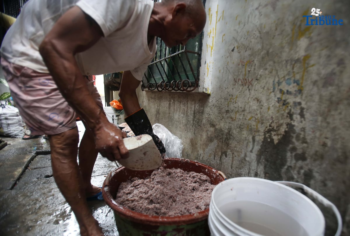 (October 10 2025) A man residing in Navotas makes salted shrimp or Bagoong alamang, one of the sources of income in Navotas. Photo/Analy Labor