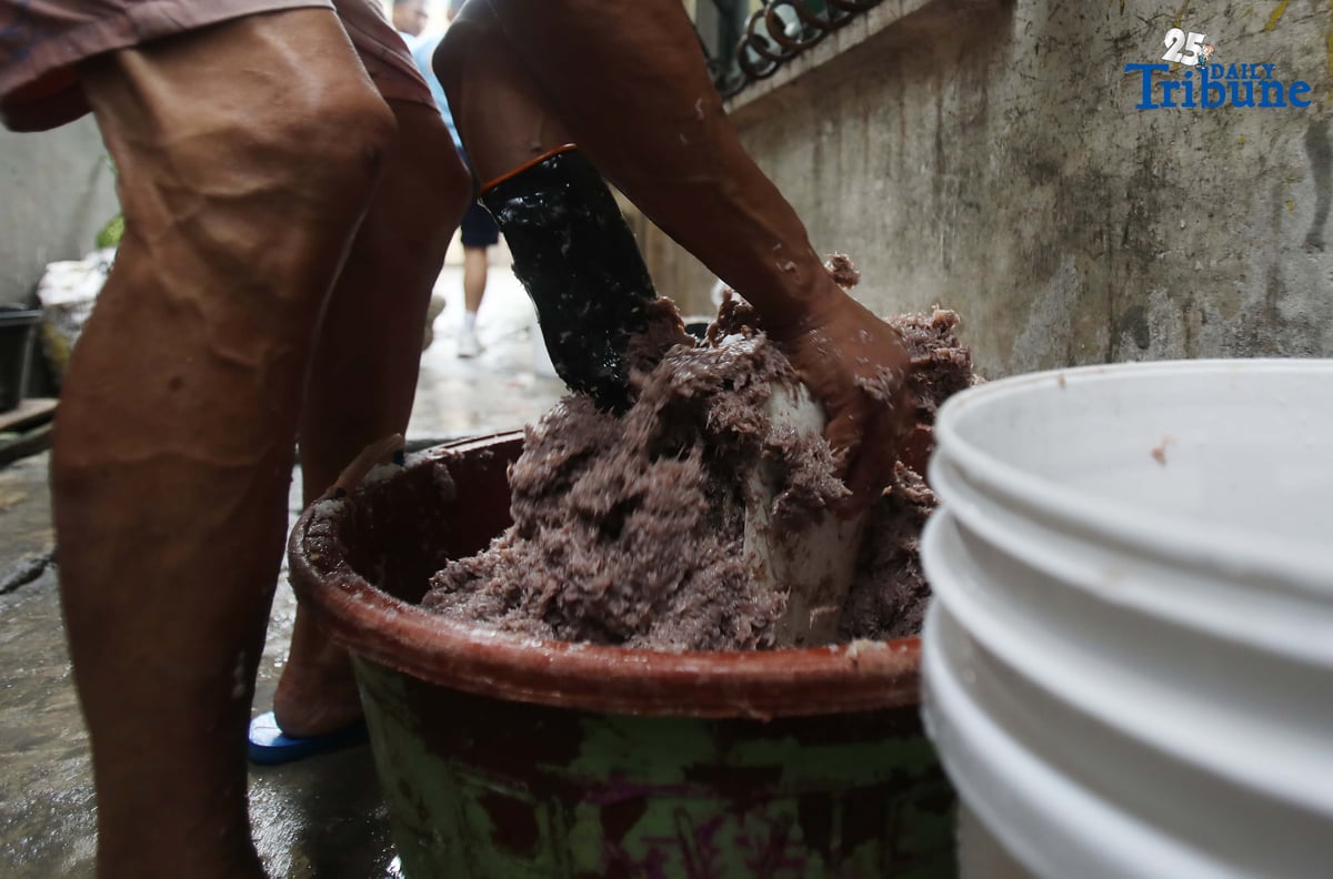 (October 10 2025) A man residing in Navotas makes salted shrimp or Bagoong alamang, one of the sources of income in Navotas. Photo/Analy Labor