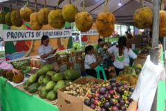 Mindanao Fruits and Food Festival