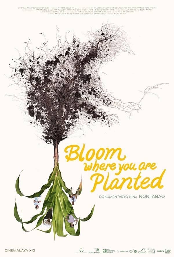 ‘BLOOM Where You Are Planted.’