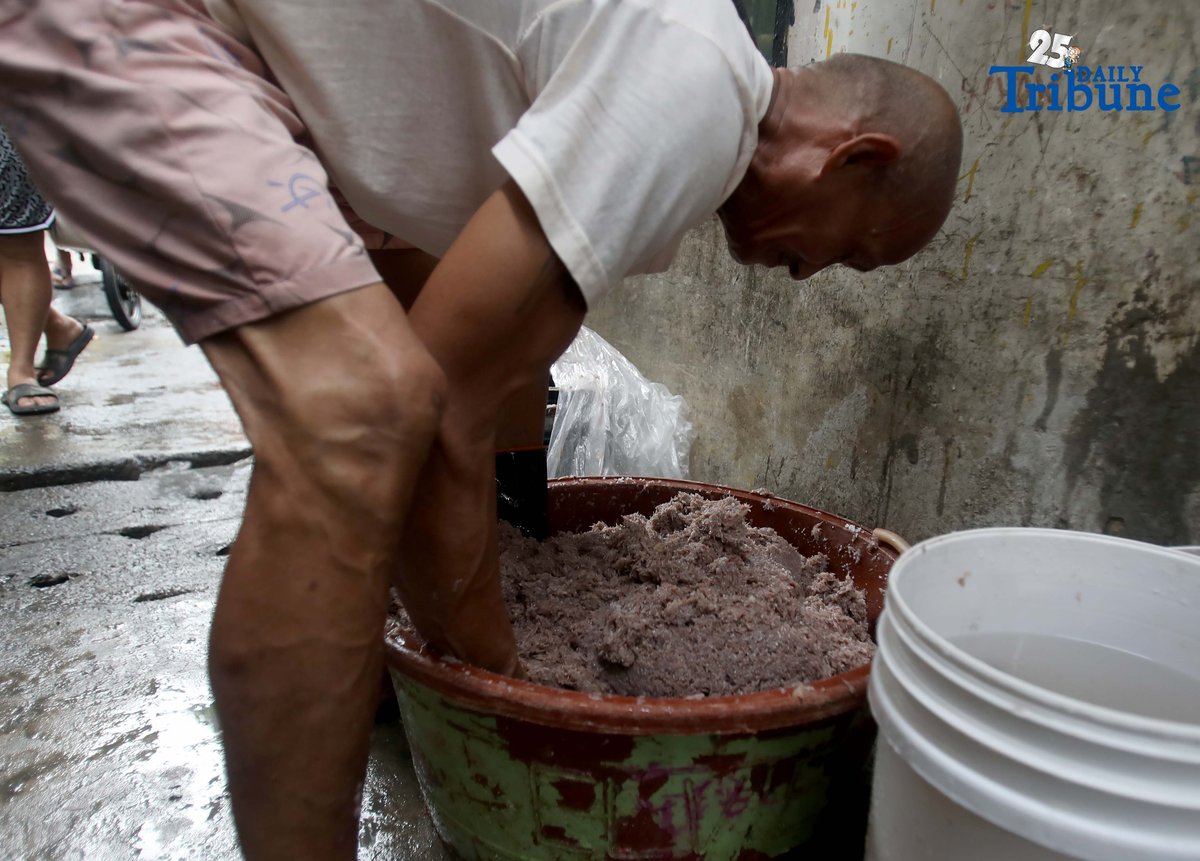 (October 10 2025) A man residing in Navotas makes salted shrimp or Bagoong alamang, one of the sources of income in Navotas. Photo/Analy Labor