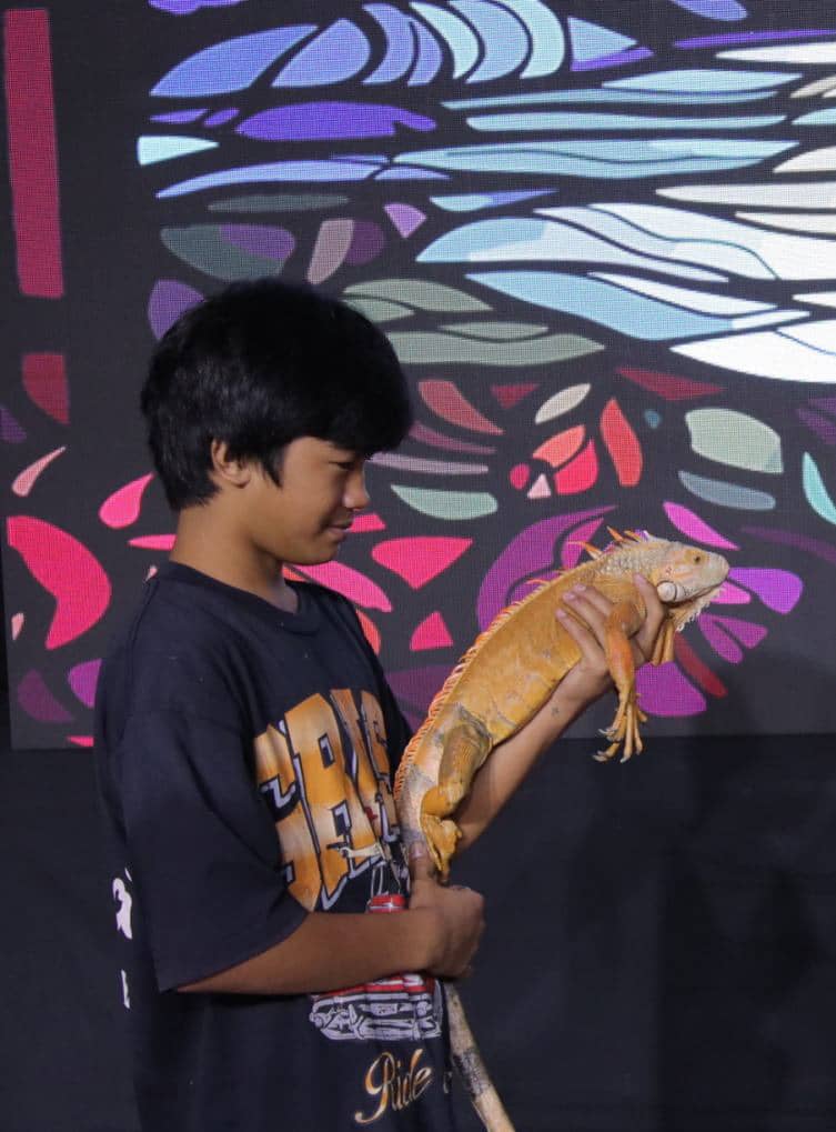 A BOY and his exotic iguana.