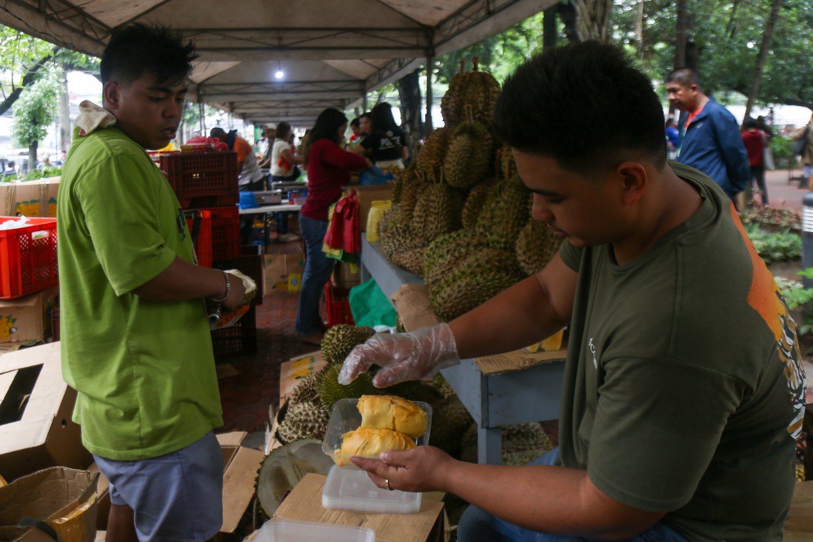 Fresh fruits and other farm produce are on sale at the Mindanao Fruits and Food Festival at the Kartilya ng Katipunan grounds in the City of Manila starting 10 October 2025. The eight-day festival features farm produce from Kidapawan City and other farms in Mindanao.