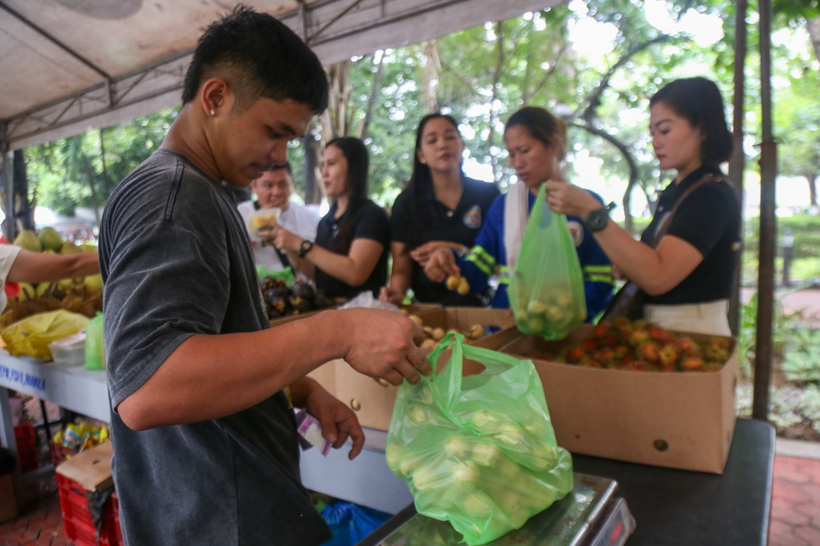 Fresh fruits and other farm produce are on sale at the Mindanao Fruits and Food Festival at the Kartilya ng Katipunan grounds in the City of Manila starting 10 October 2025. The eight-day festival features farm produce from Kidapawan City and other farms in Mindanao.