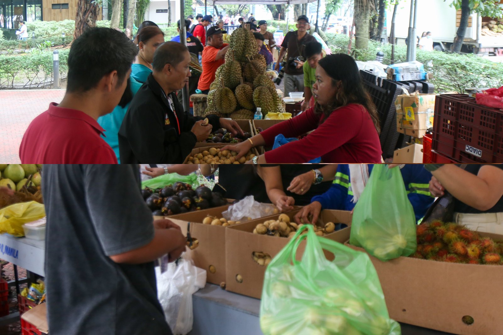 Fresh fruits and other farm produce are on sale at the Mindanao Fruits and Food Festival at the Kartilya ng Katipunan grounds in the City of Manila starting 10 October 2025. The eight-day festival features farm produce from Kidapawan City and other farms in Mindanao.