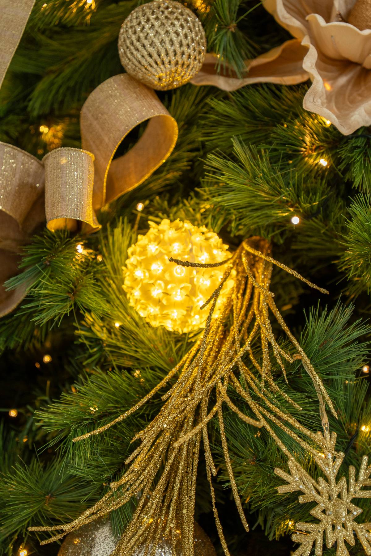 Christmas Lights.