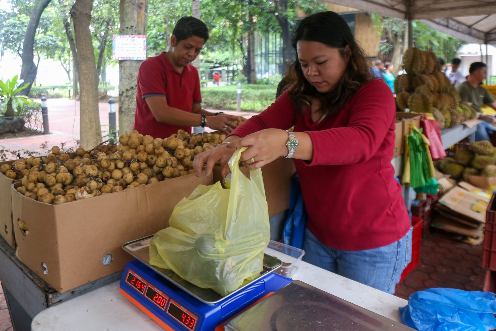Fresh fruits and other farm produce are on sale at the Mindanao Fruits and Food Festival at the Kartilya ng Katipunan grounds in the City of Manila starting 10 October 2025. The eight-day festival features farm produce from Kidapawan City and other farms in Mindanao.