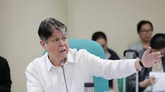 Prioritize first border inspection facilities, DA told