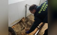 Warehouse yields dead animals