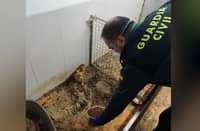 Warehouse yields dead animals