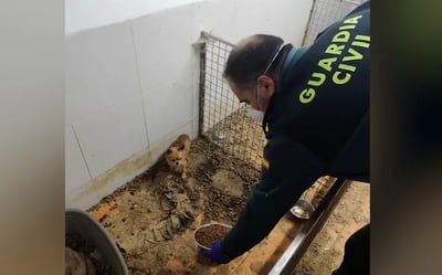 Warehouse yields dead animals