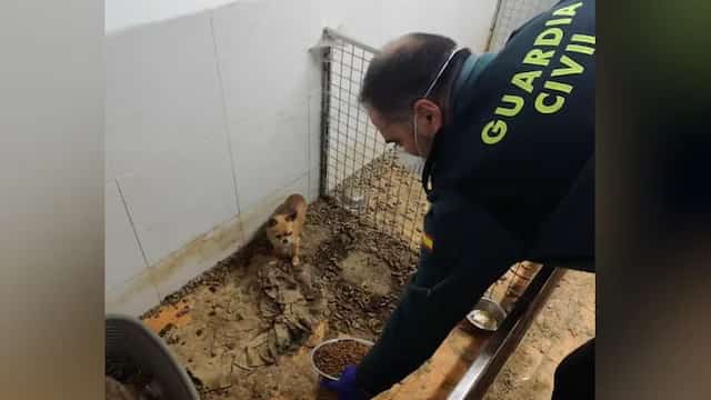 Warehouse yields dead animals