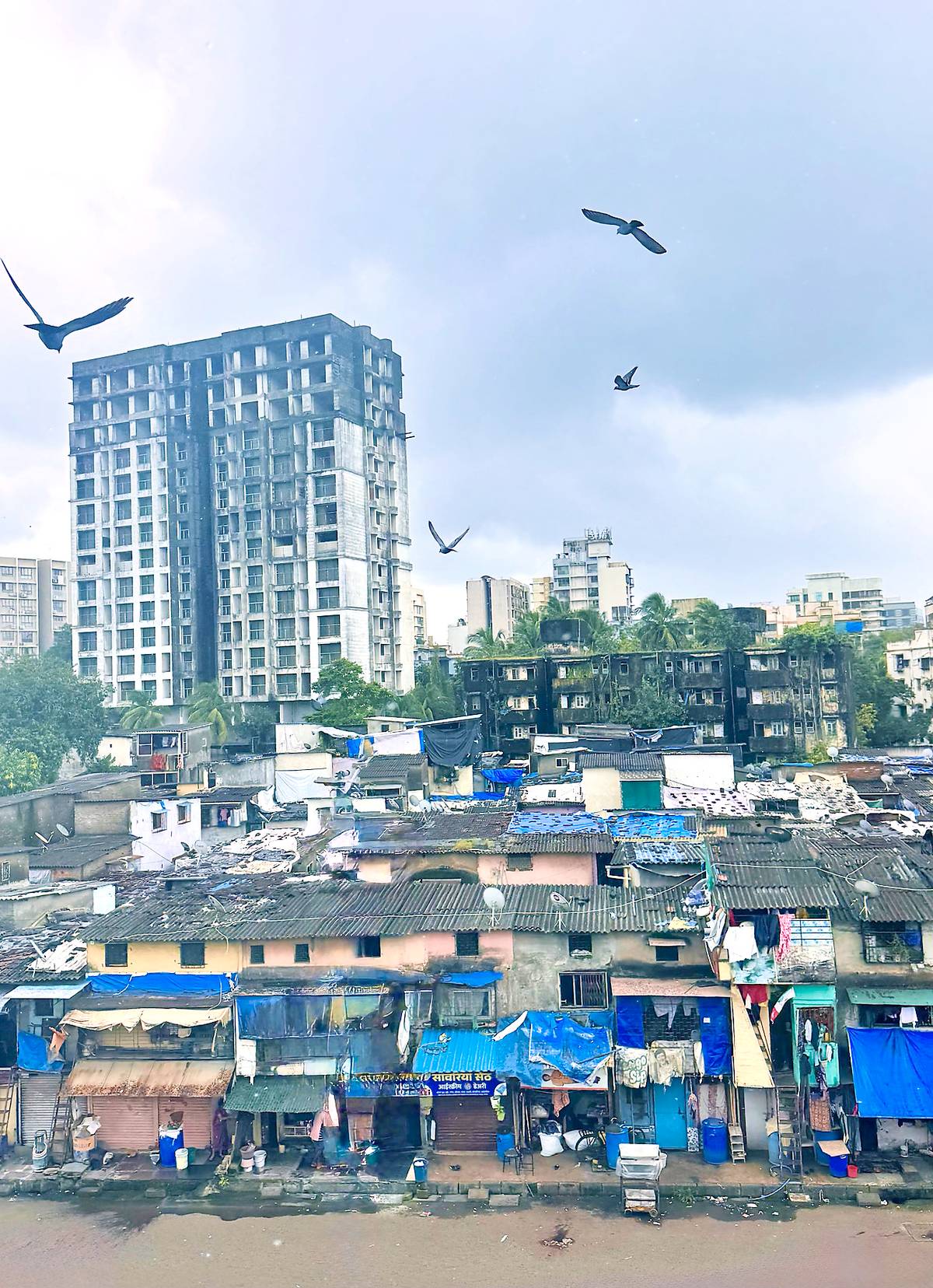 Mumbai’s famous slums house over 40 percent of the city’s population, driving informal economies and daily urban life.