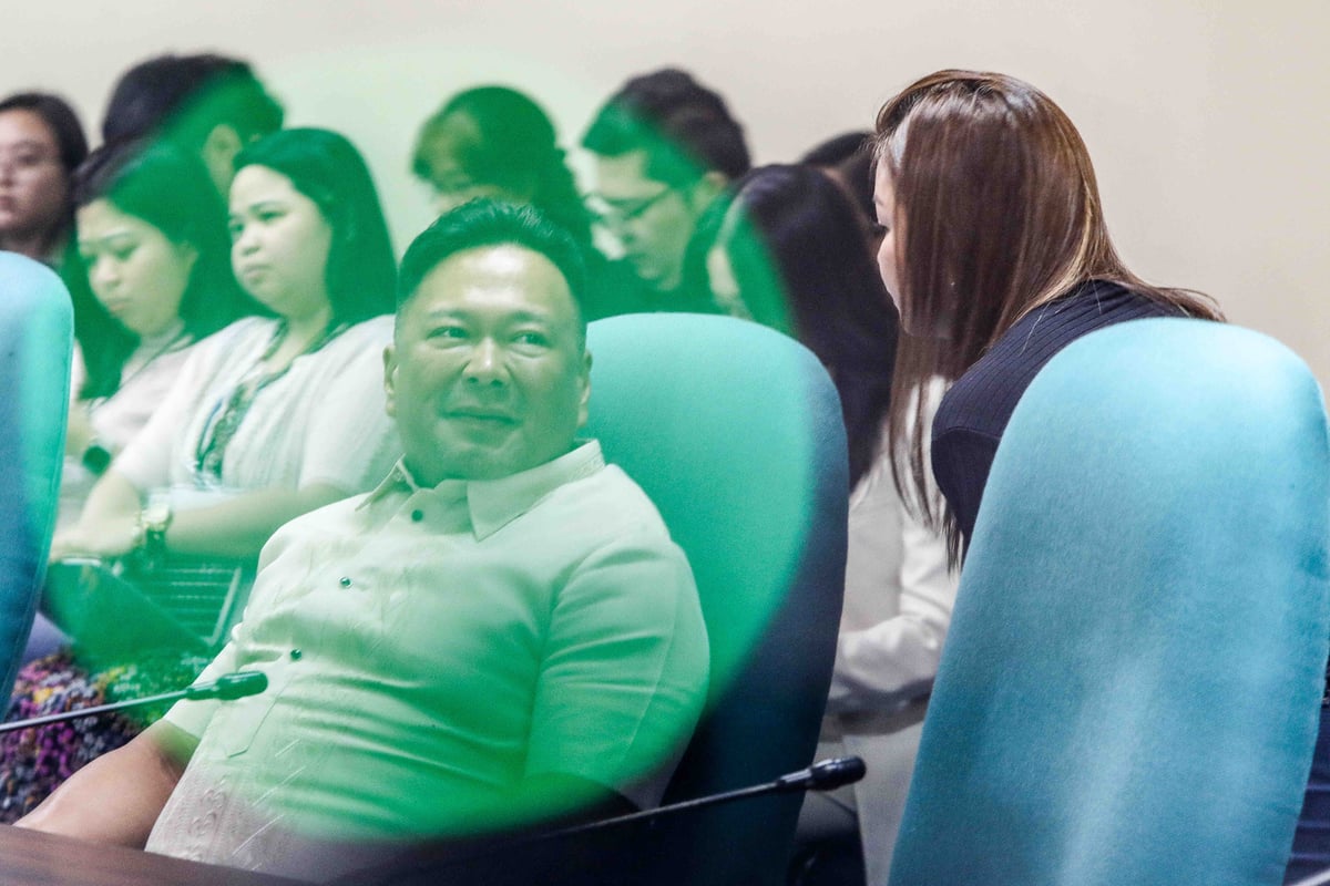 Ejercito calls for COA probe into alleged auditor collusion
