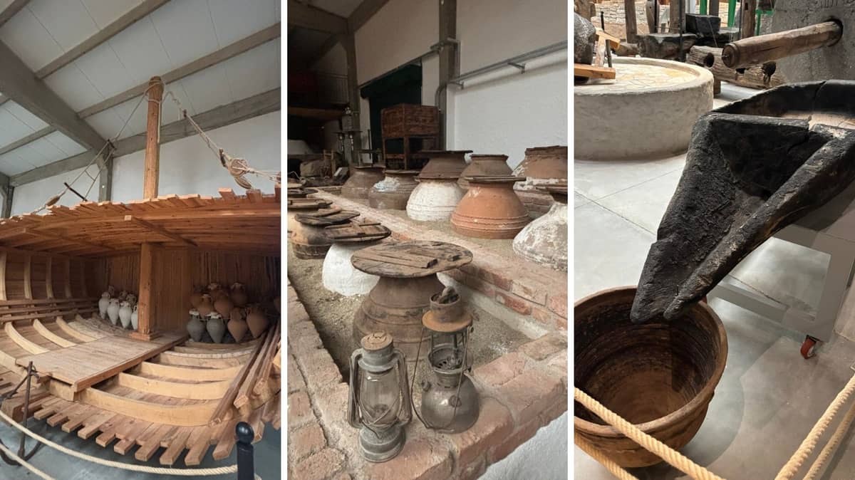 Klazomenai, one of the 12 Ionian cities, is significant because of the discovery of an olive oil workshop dating back to the 6th century BCE. This workshop (above is an example seen in the Olive Oil Museum) is recognized as the oldest known olive oil production site in the world.  The fully excavated olive oil workshop at Klazomenai proves that technology still in use today was first developed in this region 2600 years ago.