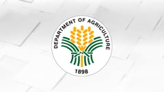 Gov’t shuts door on sugar imports ‘til mid-2026