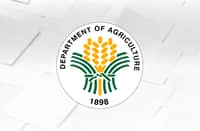 Gov’t shuts door on sugar imports ‘til mid-2026