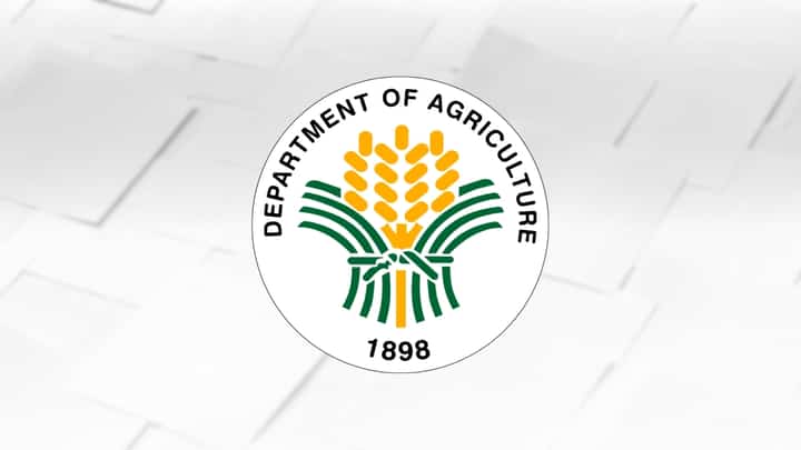 Gov’t shuts door on sugar imports ‘til mid-2026