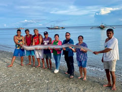 Oarfish washes ashore in Oriental Mindoro, revives earthquake myth