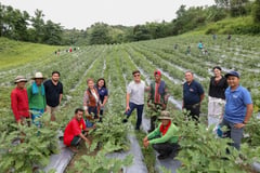 Ayta Ethno Botanical Center empowers IPs in New Clark City