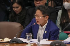 Pasay court denies Curlee Discaya habeas corpus plea