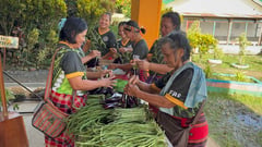 DAR trains 32 Apayao farmers to become agri-entrepreneurs