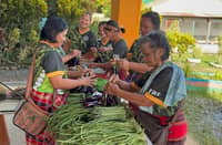 DAR trains 32 Apayao farmers to become agri-entrepreneurs