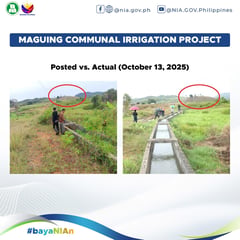 NIA Denies P75M ‘Ghost Project’ Claim, Calls Allegations Politically Motivated