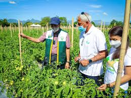 DA Designates Batanes as Organic Farming Province