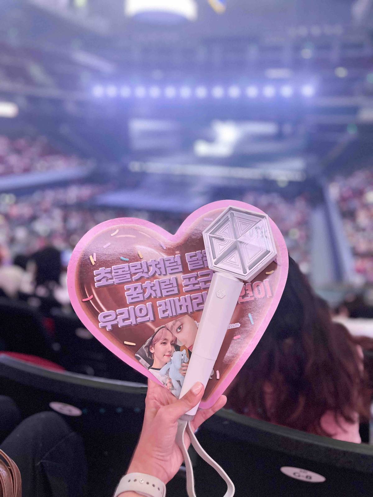 FAN project featuring the official EXO lightstick.