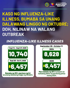 DOH reports 39% drop in influenza-like illness cases nationwide