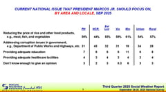 Majority of Filipinos want Marcos to focus on lowering food prices — SWS