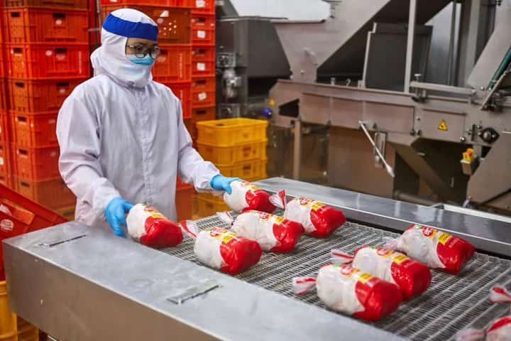 BDO backs Bounty Fresh to boost food security