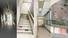 Bats call PIA building home